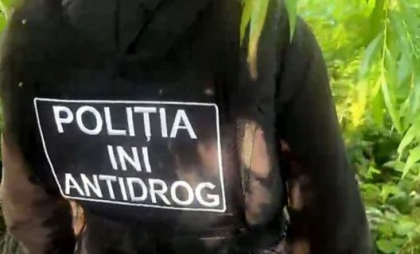 „Afacere eșuată” de droguri, vândute pe Telegram. Un bărbat, plasat în arest, după ce a fost prins cu narcotice în valoare de 250 de mii de lei - VIDEO