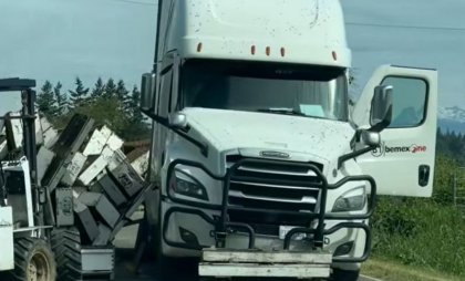Sute de milioane de albine sunt în libertate după ce TIR-ul care le transporta s-a răsturnat în SUA. Apicultorii încearcă să le prindă - VIDEO Sute de milioane de albine sunt în libertate după ce TIR-ul care le transporta s-a răsturnat în SUA. Apicultorii încearcă să le prindă - VIDEO