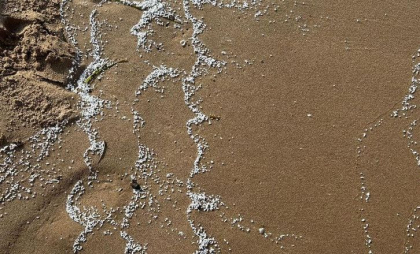 Patru plaje de lângă Valencia au fost închise după ce pe nisip au apărut particule albe misterioase
