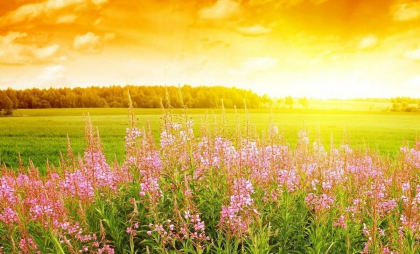 Maxime de până la 23 de grade. Cum va fi vremea astăzi, dar și în următoarele zile. Prognoza meteo
