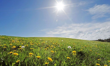Început de weekend cu maxime de până la 23 de grade în capitală. Cum va fi vremea în toate raioanele țării, dar și unde va ploua. Prognoza meteo - FOTO Început de weekend cu maxime de până la 23 de grade în capitală. Cum va fi vremea în toate raioanele țării, dar și unde va ploua. Prognoza meteo - FOTO