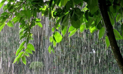 Ploi în centrul și sudul țării. Cum va fi vremea astăzi, dar și în următoarele zile. Prognoza meteo