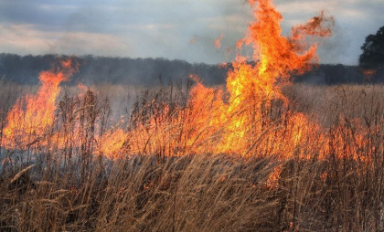 Cod GALBEN de incendii în toată țara. Anunțul făcut de meteorologi. IGSU vine cu informați pentru prevenirea acestora - FOTO Cod GALBEN de incendii în toată țara. Anunțul făcut de meteorologi. IGSU vine cu informați pentru prevenirea acestora - FOTO