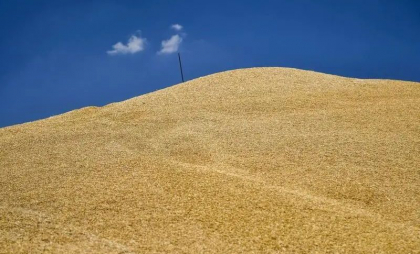 UE a convenit cu Ucraina un nou acord privind importurile de produse agricole. Cote pentru produsele cele mai sensibile UE a convenit cu Ucraina un nou acord privind importurile de produse agricole. Cote pentru produsele cele mai sensibile