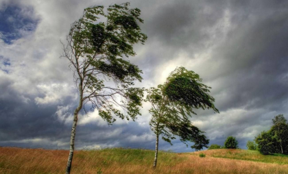 Cod GALBEN de vânt puternic în mai multe regiuni ale țării. Anunțul făcut de meteorologi - FOTO