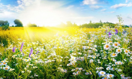 Maxime de până la 29 de grade. Cum va fi vremea astăzi, dar și în următoarele zile. Prognoza meteo
