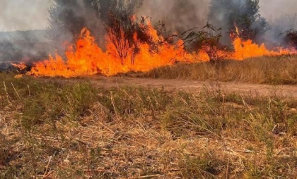 Încă un Cod GALBEN: Pericol excepțional de incendii. Anunțul făcut de meteorologi - FOTO