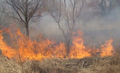 Peste 2 mii de incendii de vegetație uscată au fost înregistrate de la începutul anului: Pompierii atenționează cetățenii să fie prudenți, în contextul temperaturilor ridicate