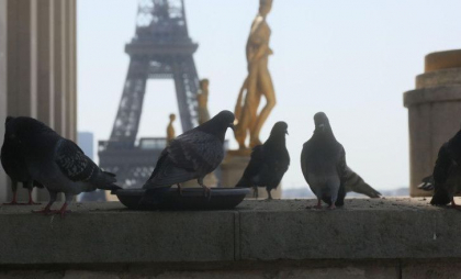 Canicula lasă Parisul fără curent electric: Realimentarea cu energie este îngreunată de o grevă