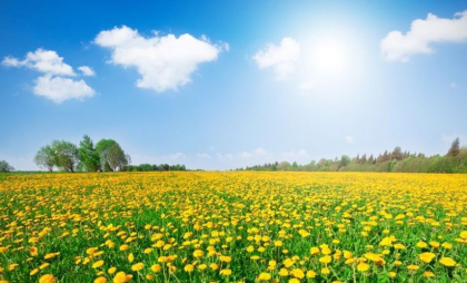 Maxime de până la 37 de grade. Cum va fi vremea astăzi, dar și în următoarele zile. Prognoza meteo
