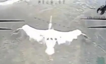 Momentul când pelicani aflați în zbor sunt uciși de o dronă-interceptor rusă în Ucraina. Act intenționat sau eroare a operatorului - VIDEO Momentul când pelicani aflați în zbor sunt uciși de o dronă-interceptor rusă în Ucraina. Act intenționat sau eroare a operatorului - VIDEO
