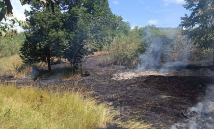 Incendii de vegetație în stânga Nistrului: Pompierii din regiune au intervenit pentru a lichida 10 focare - FOTO
