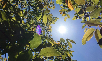 O nouă zi caniculară în toată ţara. Maxime de până la 38 de grade. Prognoza meteo