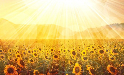 O nouă zi caniculară în toată ţara. Maxime de până la 38 de grade. Prognoza meteo
