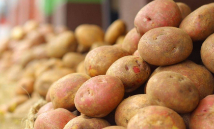 Potrivit unui nou studiu, cartoful modern își are originea în tomate
Potrivit unui nou studiu, cartoful modern își are originea în tomate