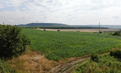 Schimbările climatice obligă agricultorii să-și regândească practicile tradiționale - VIDEO