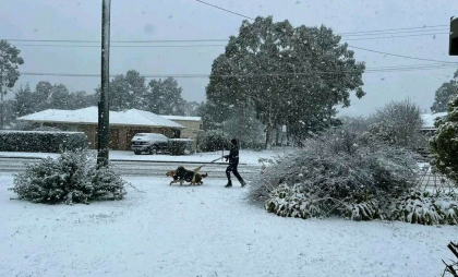 Australia, sub nămeți de zăpadă în plină vară. Străzile au fost blocate, iar mii de case au rămas fără electricitate - VIDEO
