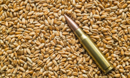 Rusia își crește exporturile de grâu pe baza cerealelor din teritoriile ocupate în Ucraina