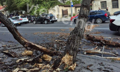 Furtuna lovește Chișinăul: Vântul puternic doboară copaci și rupe fire electrice. Poliția face apel la prudență - FOTO/VIDEO