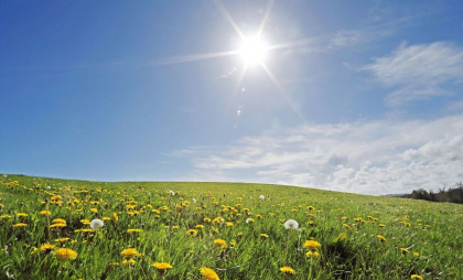 Maxime de până la 28 de grade. Cum va fi vremea astăzi, dar și în următoarele zile. Prognoza meteo
Maxime de până la 28 de grade. Cum va fi vremea astăzi, dar și în următoarele zile. Prognoza meteo