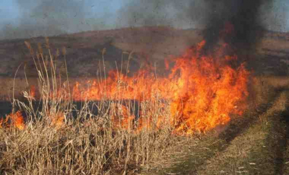 Cod GALBEN: Pericol de incendii. Anunțul făcut de meteorologi - FOTO