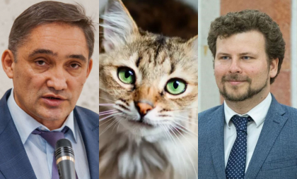 De la corupție la... pisici: Alexandr Stoianoglo lansează acuzații bizare în campanie: Un ministru ar avea 13 pisici în birou. Dan Perciun reacționează cu ironie