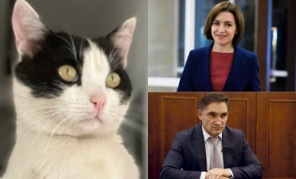 Epopeea „pisicilor de la Guvern” continuă. Maia Sandu a publicat o fotografie cu pisica sa, după cele spuse de Alexandr Stoianoglo: „Jo, consternat de declarațiile unor candidați” - FOTO