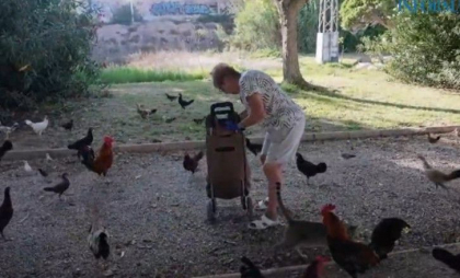 „Invazia găinilor” într-un oraș turistic din Spania. Sunt sute de păsări, iar autoritățile nu reușesc să scape de ele