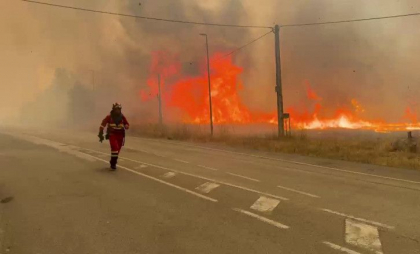 Incendiile de vegetaţie record au pârjolit peste un milion de hectare de teren anul acesta în UE. Care sunt țările cele mai afectate
Incendiile de vegetaţie record au pârjolit peste un milion de hectare de teren anul acesta în UE. Care sunt țările cele mai afectate