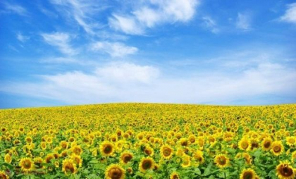 Maxime de până la 30 de grade. Cum va fi vremea astăzi, dar și în următoarele zile. Prognoza meteo
