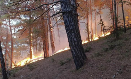 Incendiu pe coasta Mării Negre, în apropierea vilei lui Putin, în urma prăbușirii unei drone. Peste 100 de pompieri ruși mobilizați - VIDEO