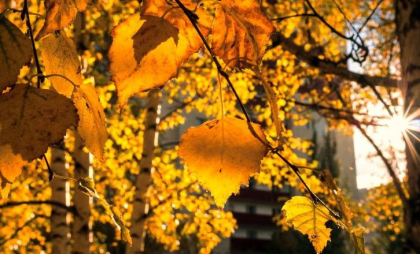 Sfârșit de săptămână cu maxime de până la 31 de grade. Cum va fi vremea în toată țara. Prognoza meteo