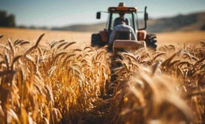 Chișinăul, nemulțumit după ce Tiraspolul a impus noi reguli agricultorilor din Dubăsari. Precizările Biroului politici de reintegrare