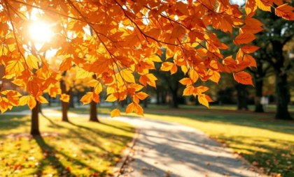 Vreme frumoasă în toată țara. Câte grade se vor inregistra astăzi, dar și în următoarele zile. Prognoza meteo
