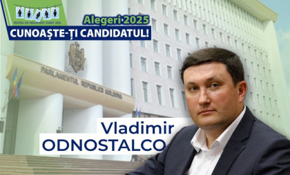 Profilul de integritate al candidatului la alegerile parlamentare, Vladimir Odnostalco