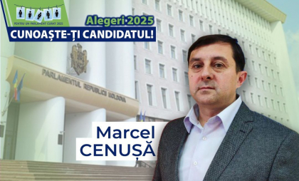 Profilul de integritate al candidatului la alegerile parlamentare, Marcel Cenușă