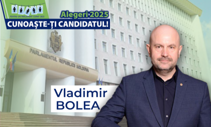 Profilul de integritate al candidatului la alegerile parlamentare, Vladimir Bolea