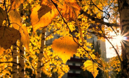 Soare și maxime de 25 de grade Celsius. Cum va fi vremea astăzi, dar și în următoarele zile. Prognoza meteo

