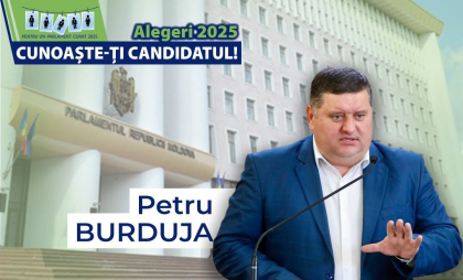 Profilul de integritate al candidatului la alegerile parlamentare, Profilul de integritate al candidatului la alegerile parlamentare,