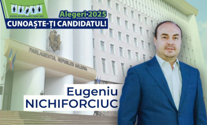 Profilul de integritate al candidatului la alegerile parlamentare, Eugeniu Nichiforciuc
