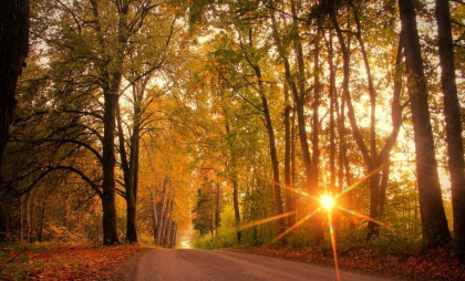 Început de weekend cu maxime de până la 25 de grade, în capitală. Cum va fi vremea în toată țara. Prognoza meteo