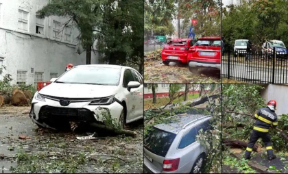 Copaci doborâţi, maşini distruse, o femeie a ajuns la spital. Rafale de peste 80 km/h au făcut ravagii în România