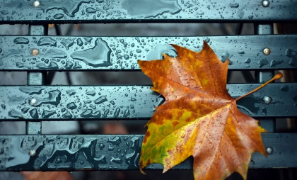 Ploi în toată țara. Cum va fi vremea astăzi, dar și în următoarele zile. Prognoza meteo
