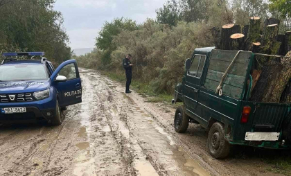 Un bărbat - documentat, după ce a fost prins că transporta lemn fără documentele care să confirme proveniența legală a acestuia - FOTO