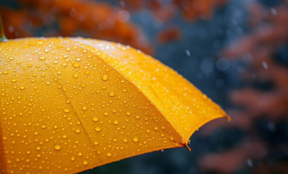 Ploi în toată țara. Cum va fi vremea astăzi, dar și în următoarele zile. Prognoza meteo
