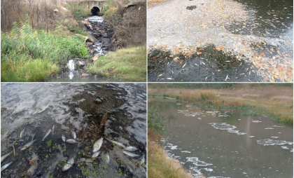 Râul Răut, transformat într-o bombă ecologică: Bacterii de mii de ori peste limita admisă și substanțe toxice descoperite lângă Orheiul Vechi - FOTO