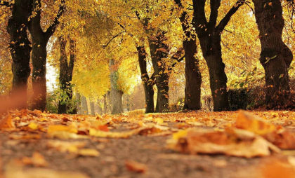 Cer noros cu maxime de până la 16 grade în capitală. Ce temperaturi se vor înregistra în următoarele zile. Prognoza meteo 