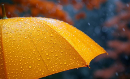 Ploi în centrul și nordul tării. Cum va fi vremea astăzi, dar și în următoarele zile. Prognoza meteo
