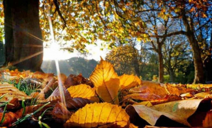 Cer variabil cu maxime de până la 20 grade în sudul țării. Ce temperaturi se vor înregistra în toată țara. Prognoza meteo
