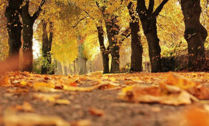 Cer variabil cu minime de până la 3 grade în nordul țării. Ce temperaturi se vor înregistra în toată țara. Prognoza meteo

